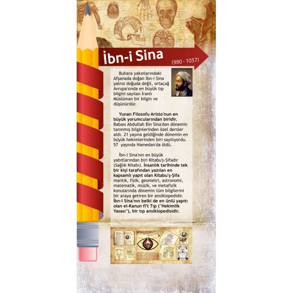 ibni sina